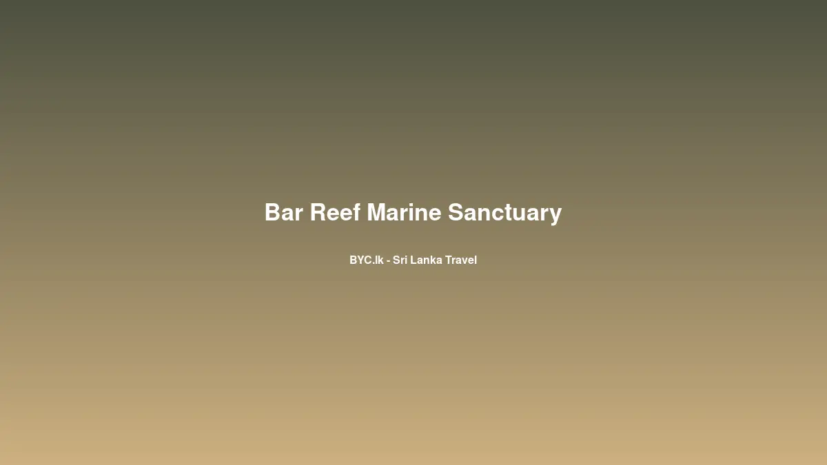 Bar Reef Marine Sanctuary, Sri Lanka