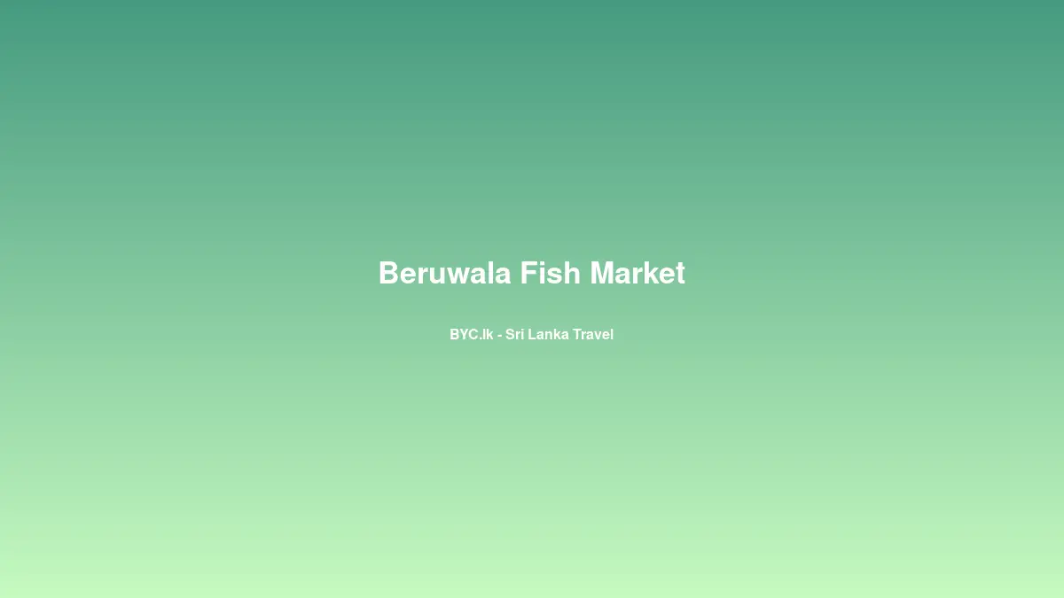 Beruwala Fish Market, Sri Lanka