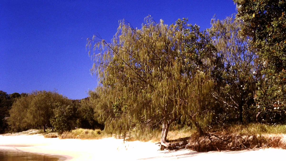 Casuarina Beach, Sri Lanka
