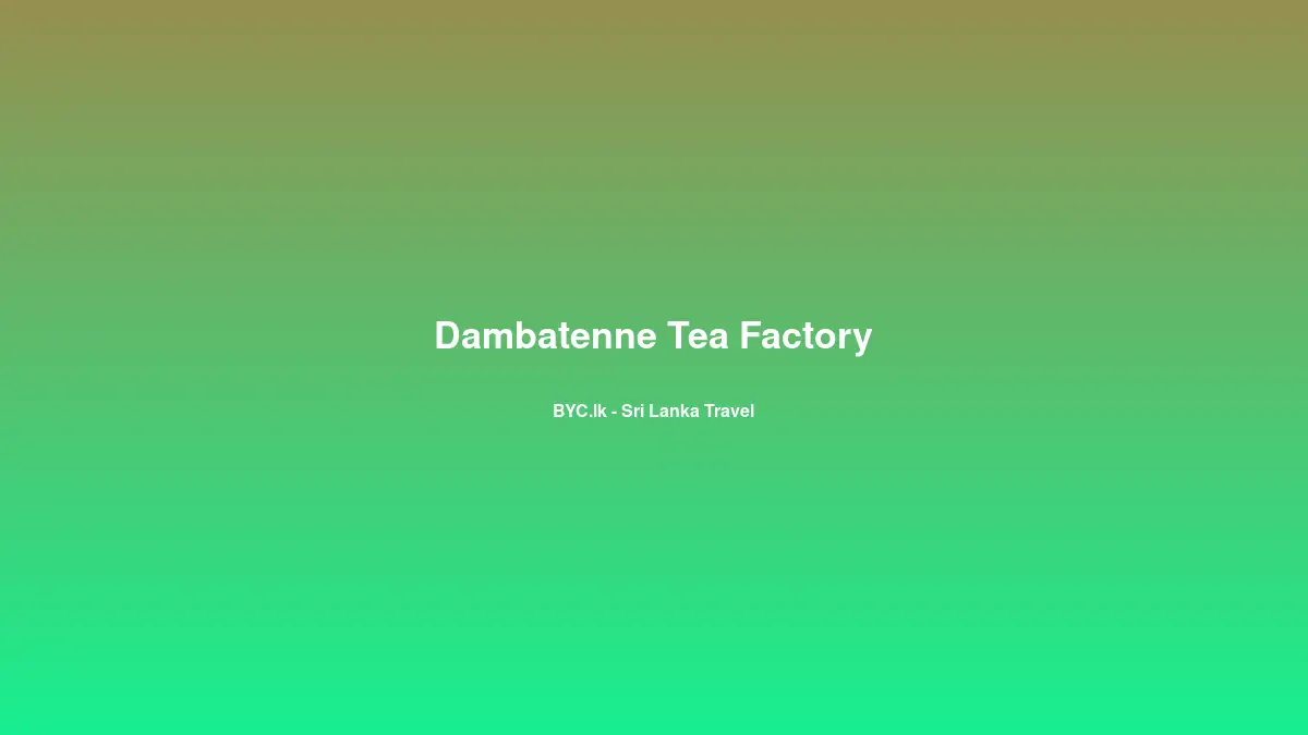 Dambatenne Tea Factory, Sri Lanka