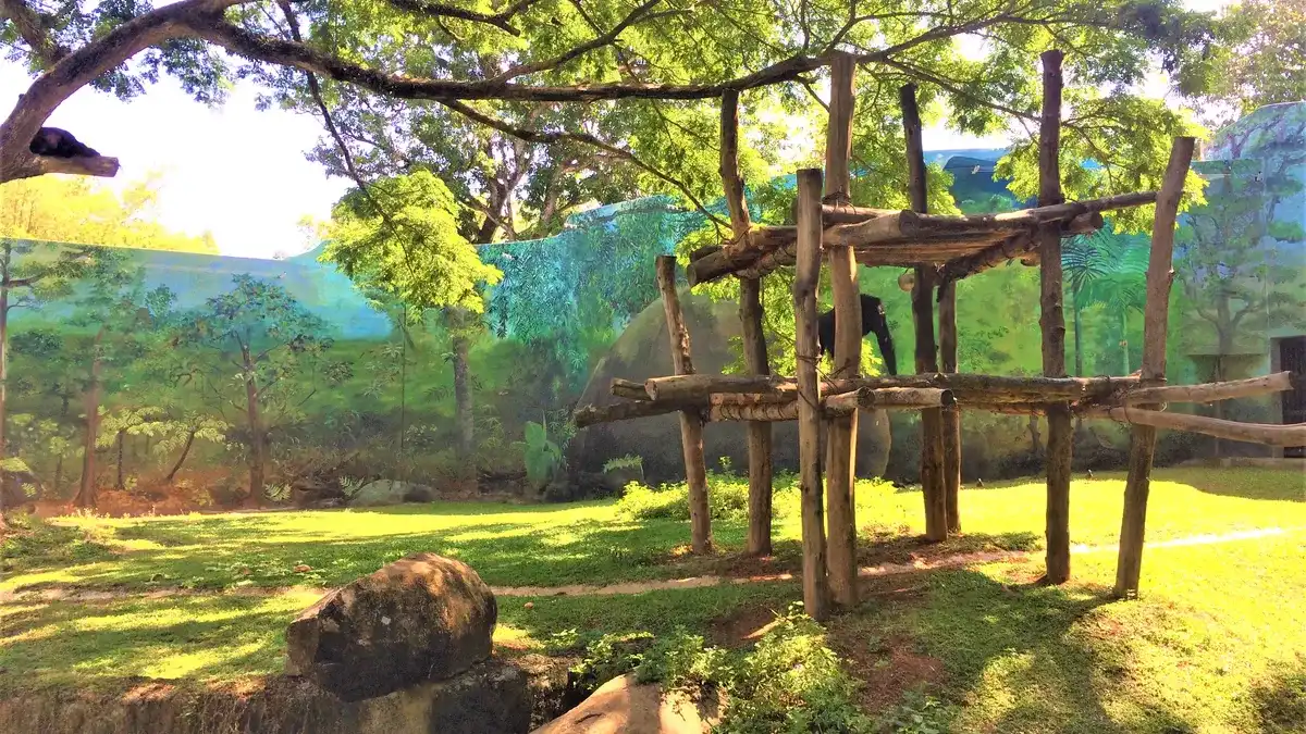 Dehiwala Zoo, Sri Lanka