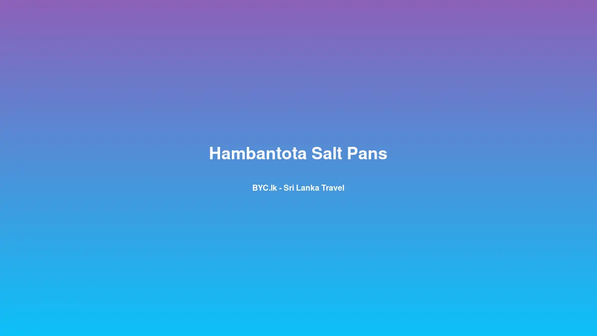 Hambantota Salt Pans, Sri Lanka