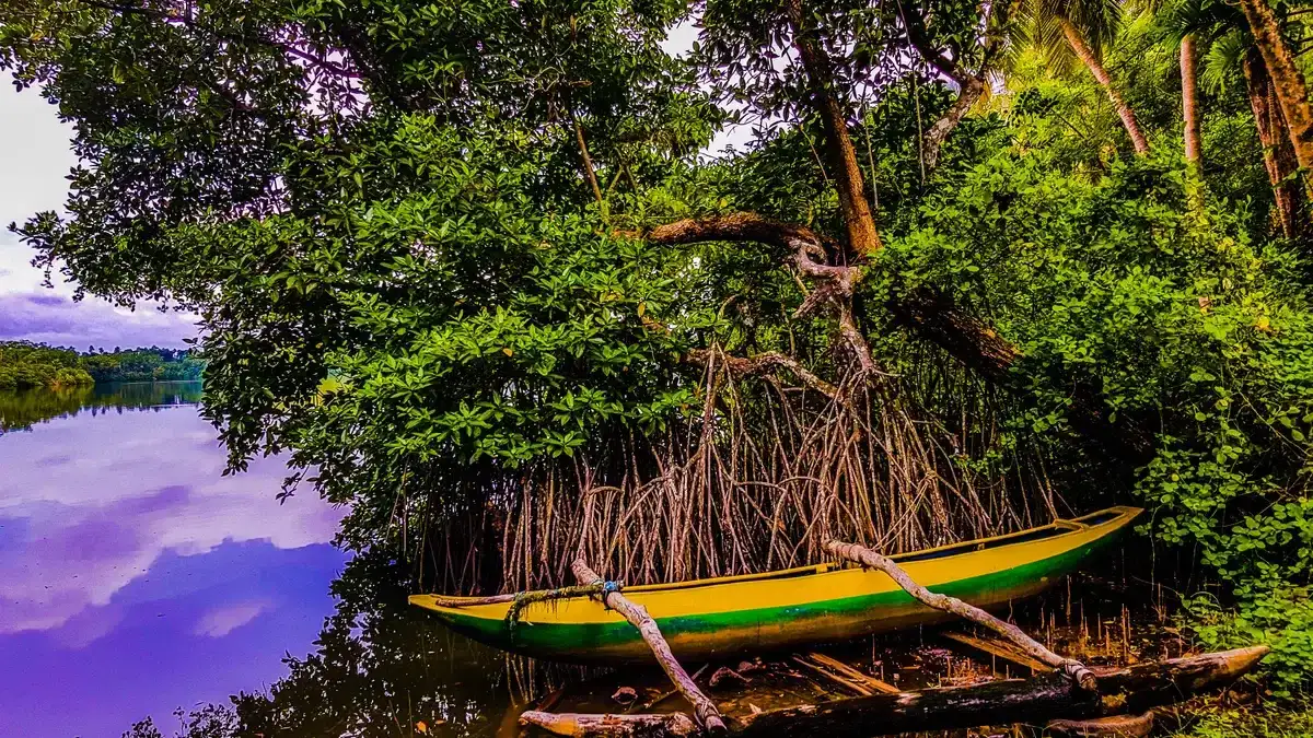 Hikkaduwa Lake, Sri Lanka