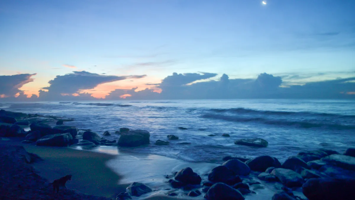 Muhudu Maha Viharaya, Sri Lanka