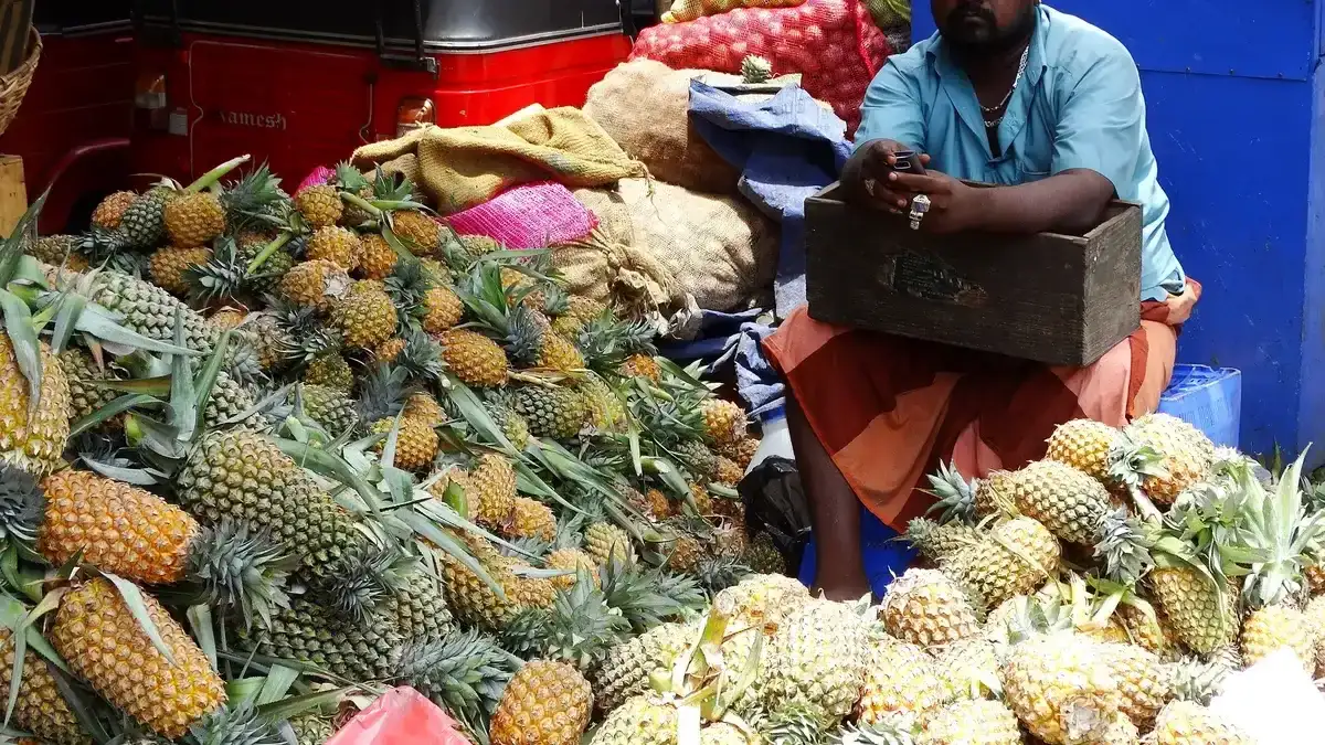 Pettah Market, Sri Lanka