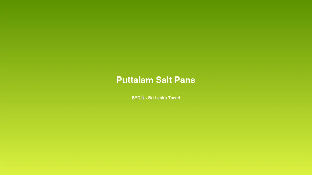 Puttalam Salt Pans, Sri Lanka