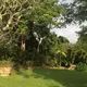 Brief Garden by Bevis Bawa, Bentota — Sri Lanka