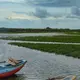 Bundala National Park, Yala — Sri Lanka
