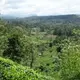 Ella-Kandy train, Ella — Sri Lanka