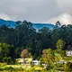 Gregory Lake, Nuwara Eliya — Sri Lanka