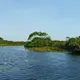 Kumana National Park, Ampara — Sri Lanka