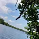 Madu Ganga River Safari, Kosgoda — Sri Lanka