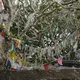 Mulkirigala Rock Temple, Tangalle — Sri Lanka