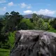 Pedro Tea Estate, Nuwara Eliya — Sri Lanka
