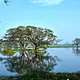 Tissamaharama Lake, Yala — Sri Lanka