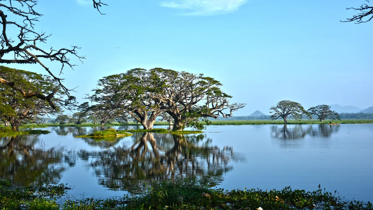 Tissamaharama Lake, Sri Lanka