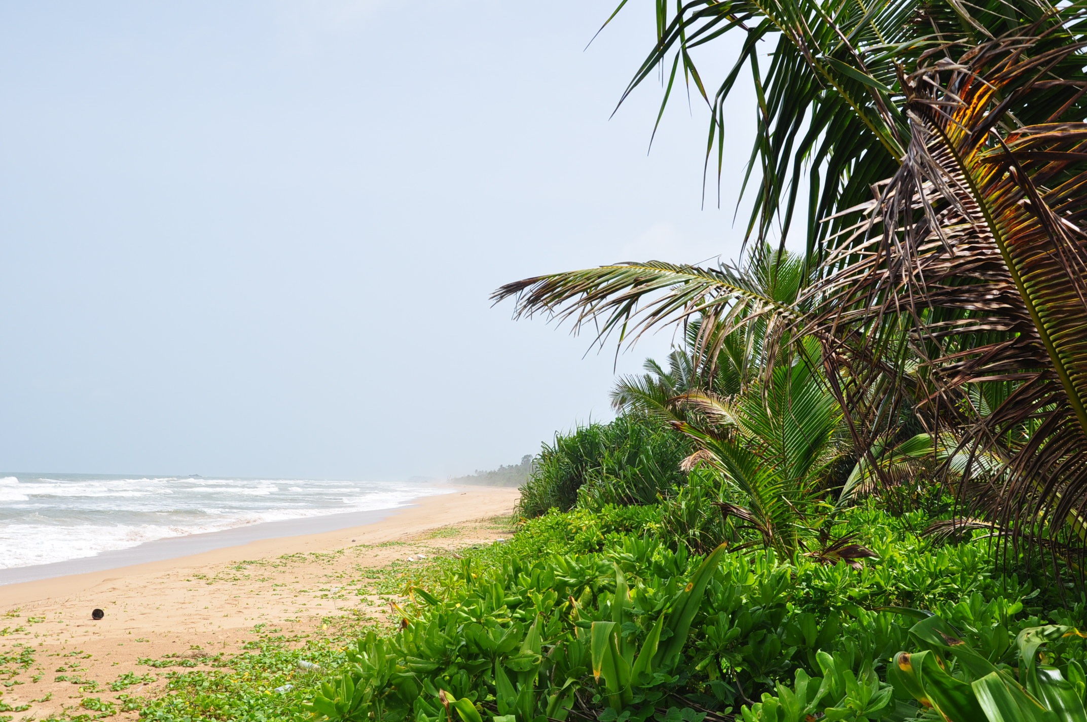 The long sweep of Bentota beach on Sri Lanka's west coast, with palms above the sand and fishing boats at the water's edge