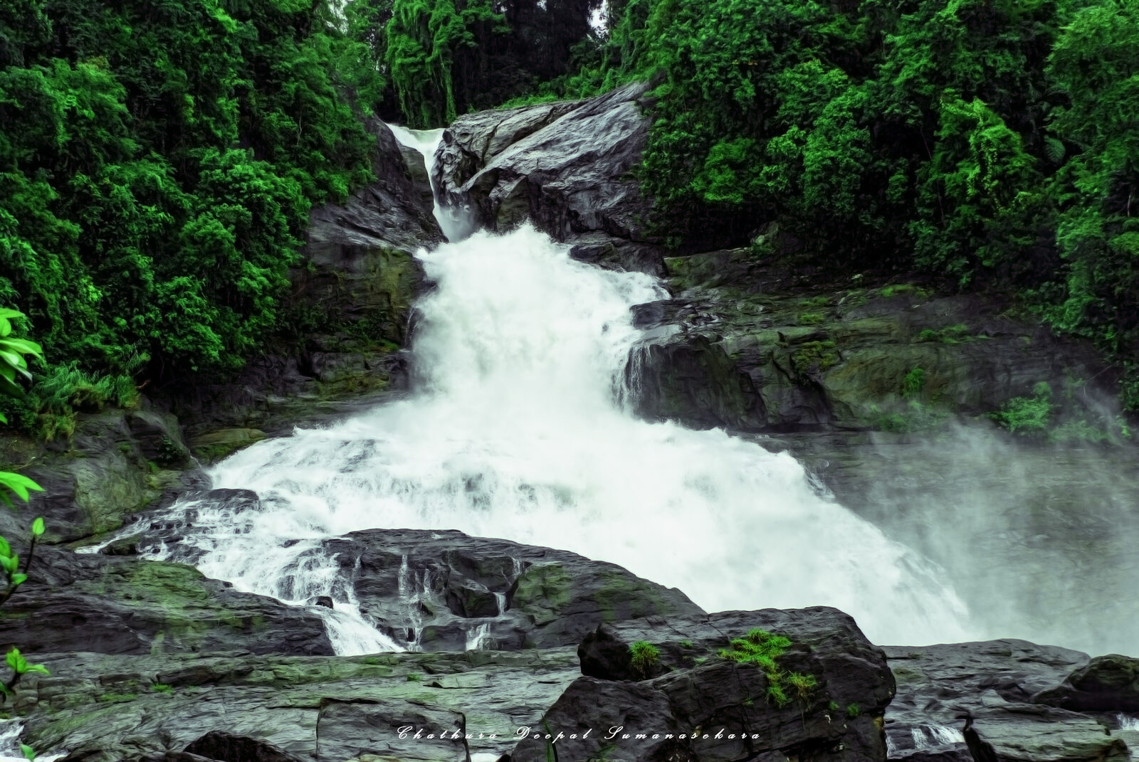 Bopath Ella waterfall near Kuruwita, Rathnapura, Sri Lanka, a single 30-metre drop shaped like a cobra hood framed by rainforest