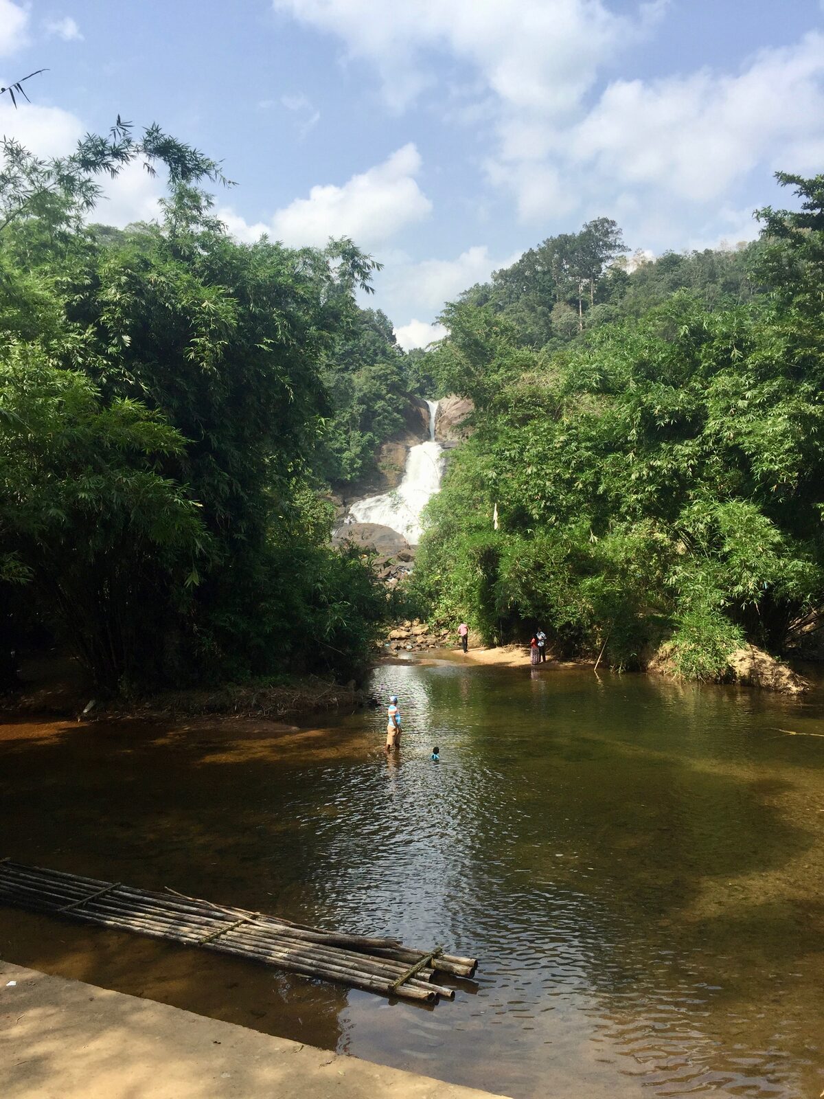 Bopath Ella, the bo-leaf shaped waterfall near Kuruwita in Sri Lanka's Ratnapura district, falling through dense wet-zone rainforest