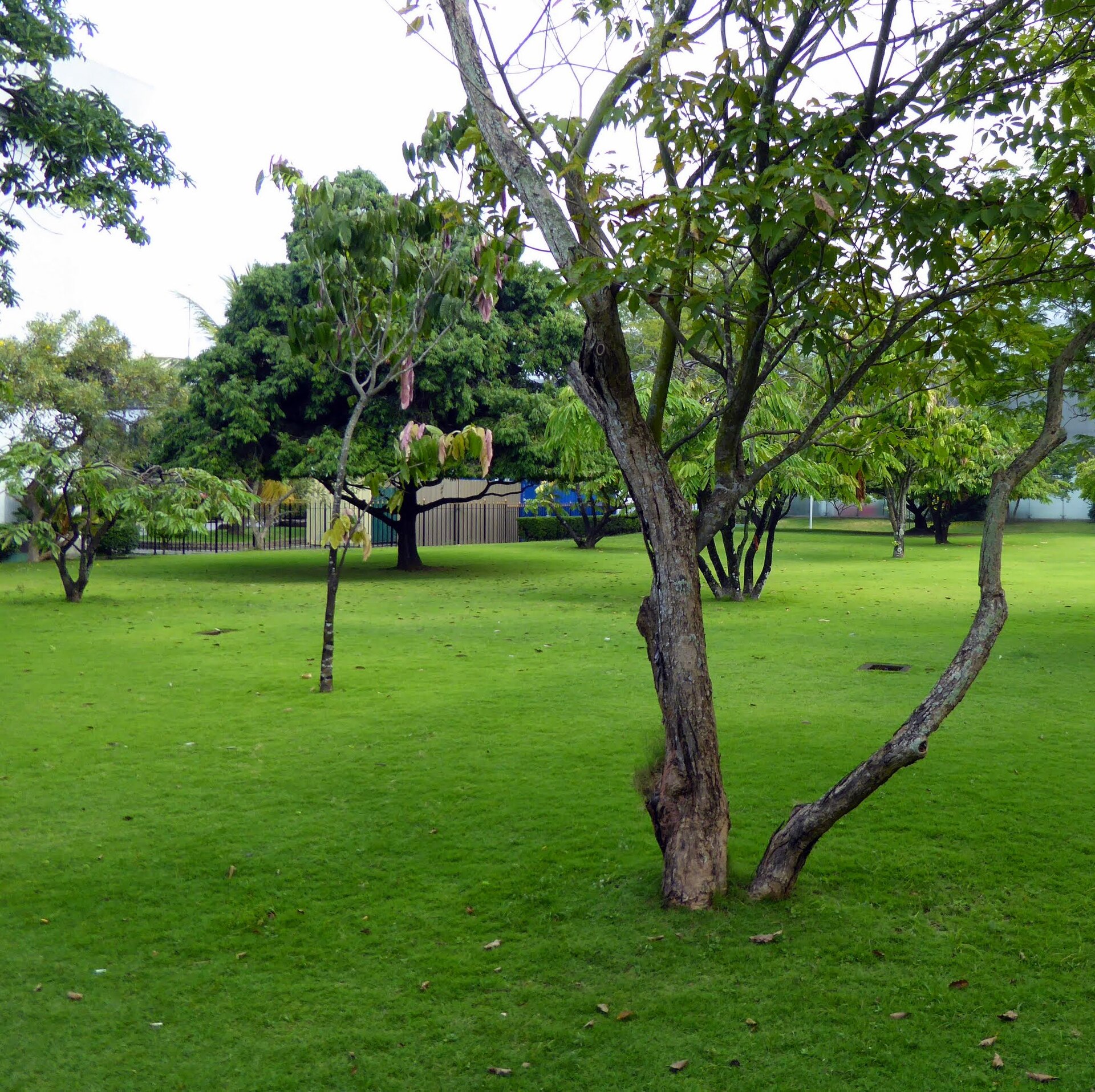 Bandaranaike International Airport departure terminal in Colombo, Sri Lanka