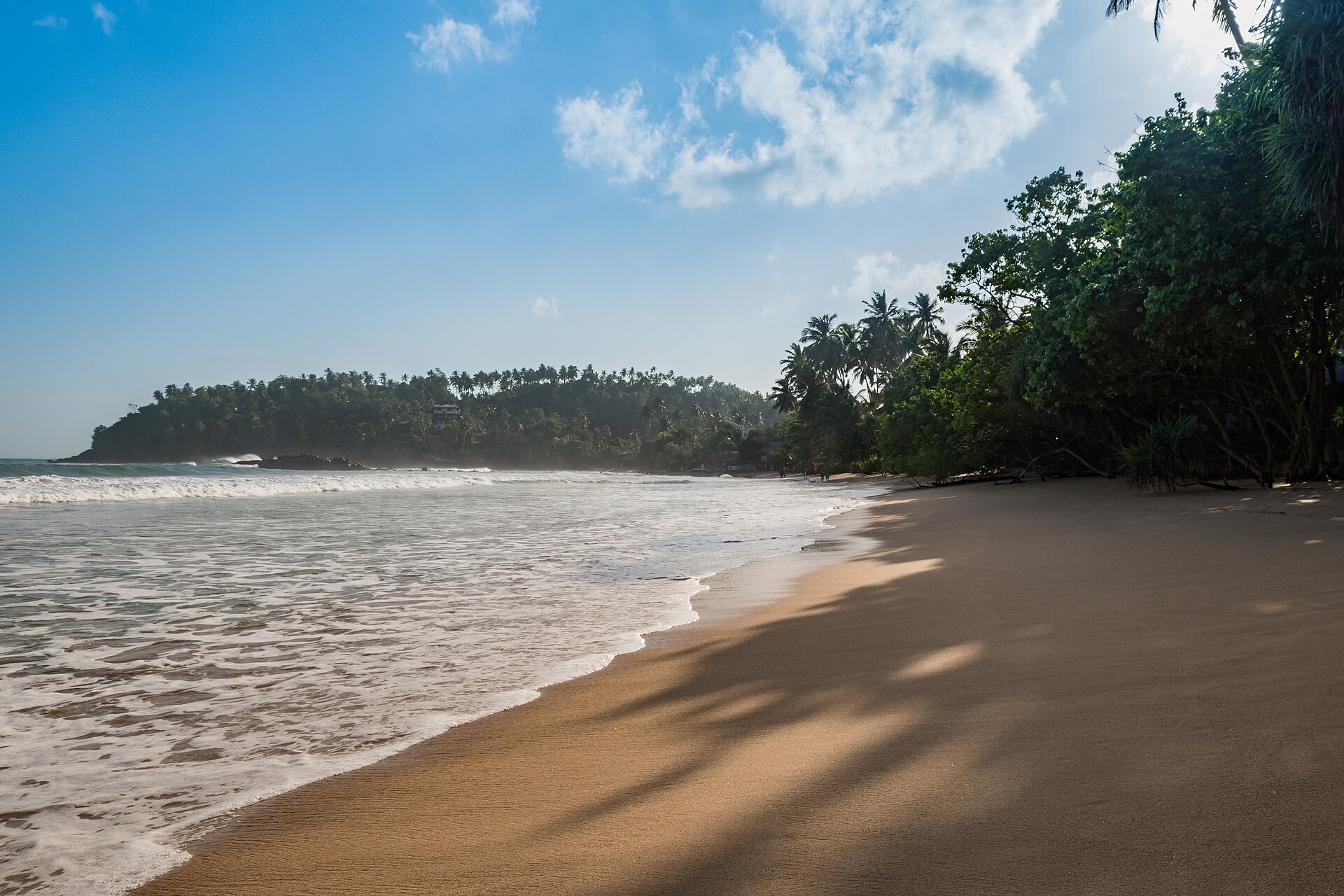 Mirissa Beach on the south coast of Sri Lanka in February with palm trees and calm water