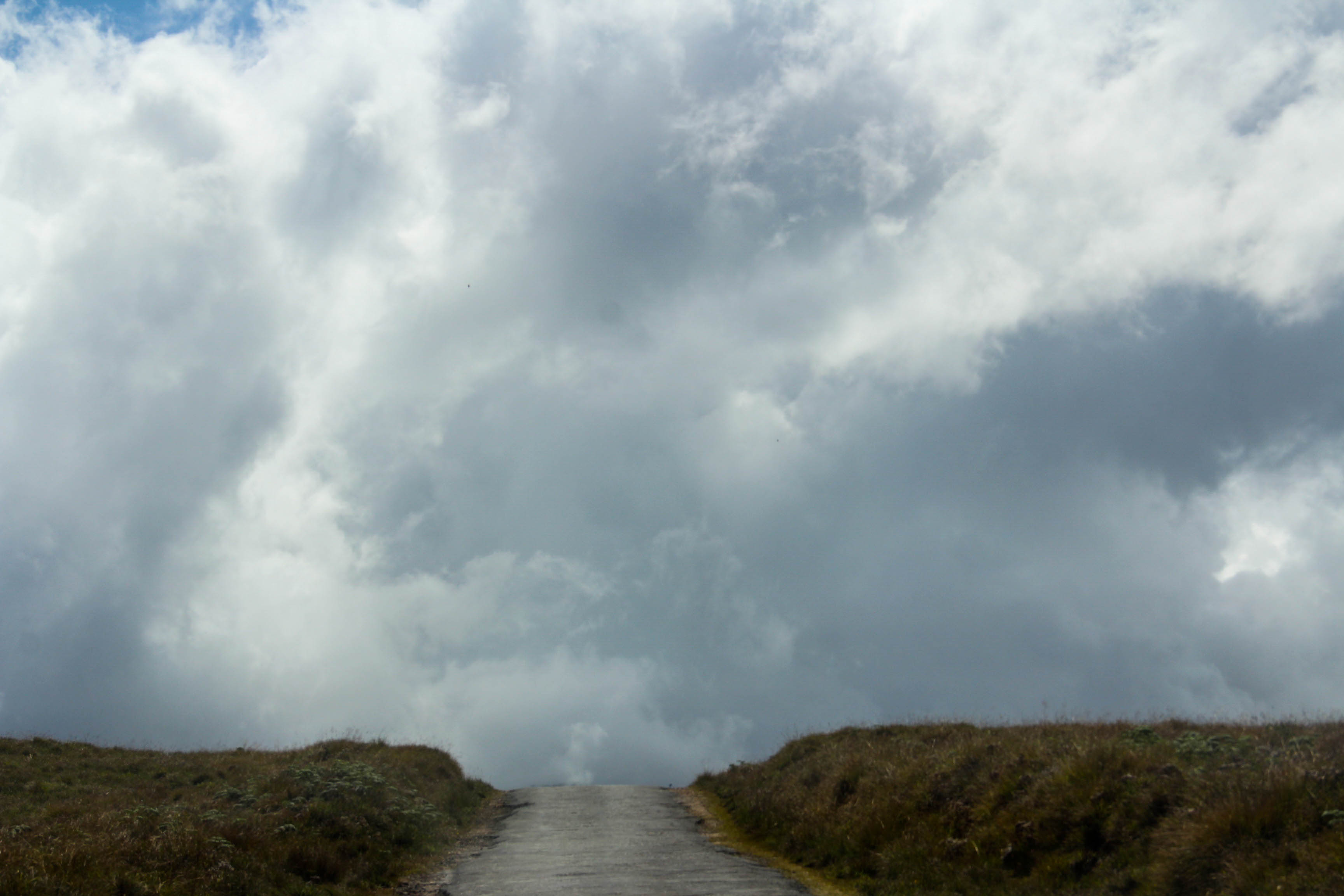 Misty landscape at Horton Plains National Park, Sri Lanka