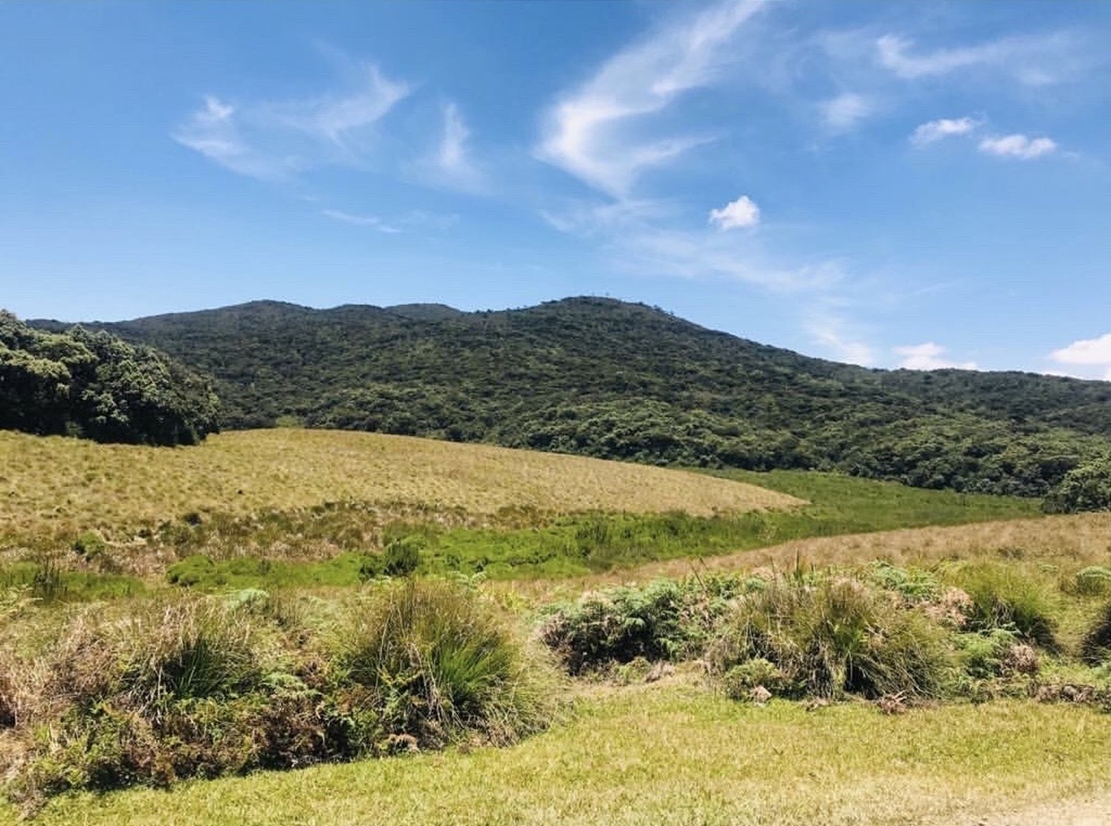 The sheer escarpment of World's End in Horton Plains National Park, high above the Sri Lankan central highlands, at its clearest in the hour after dawn