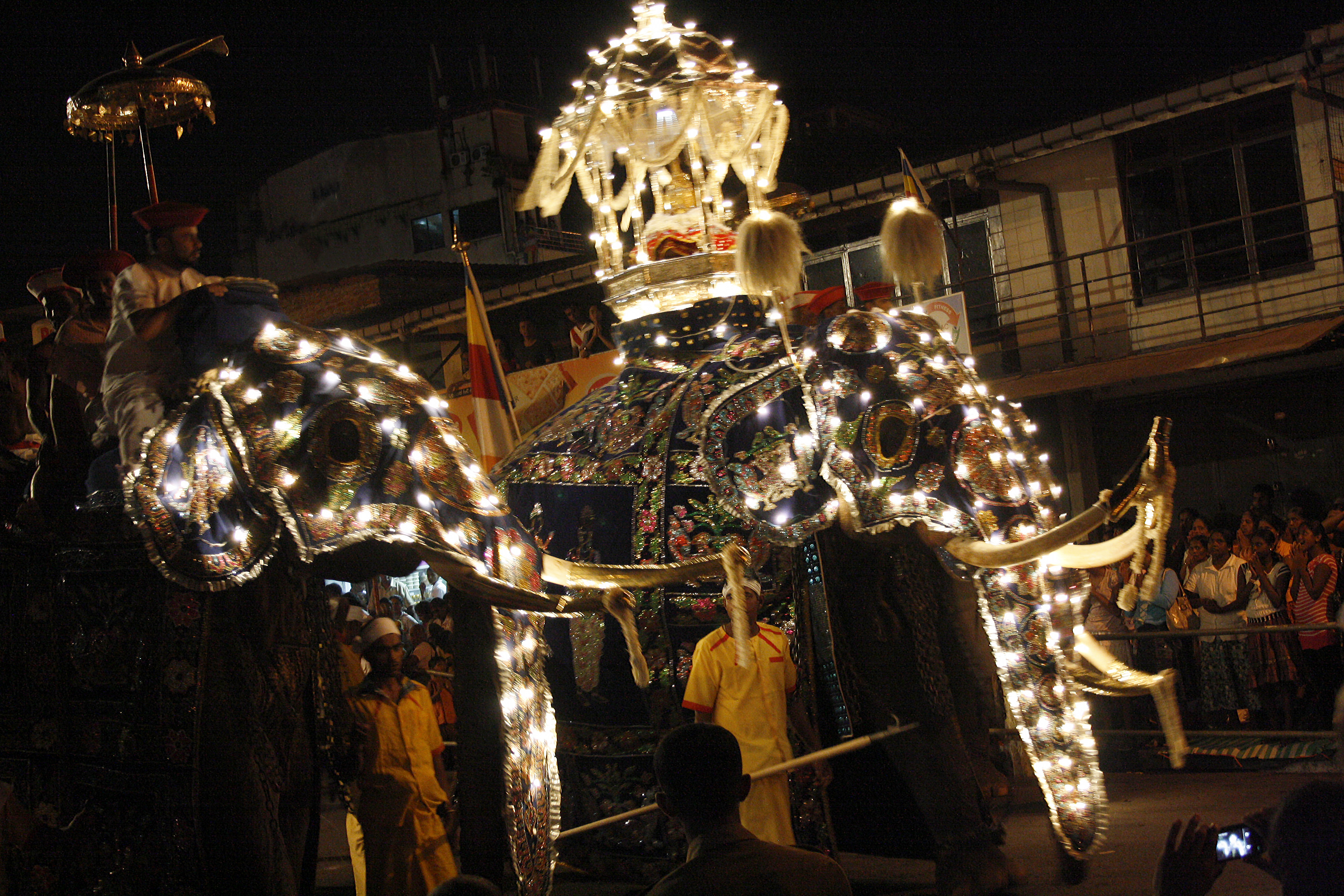 Decorated elephants in the Kandy Esala Perahera procession, Sri Lanka