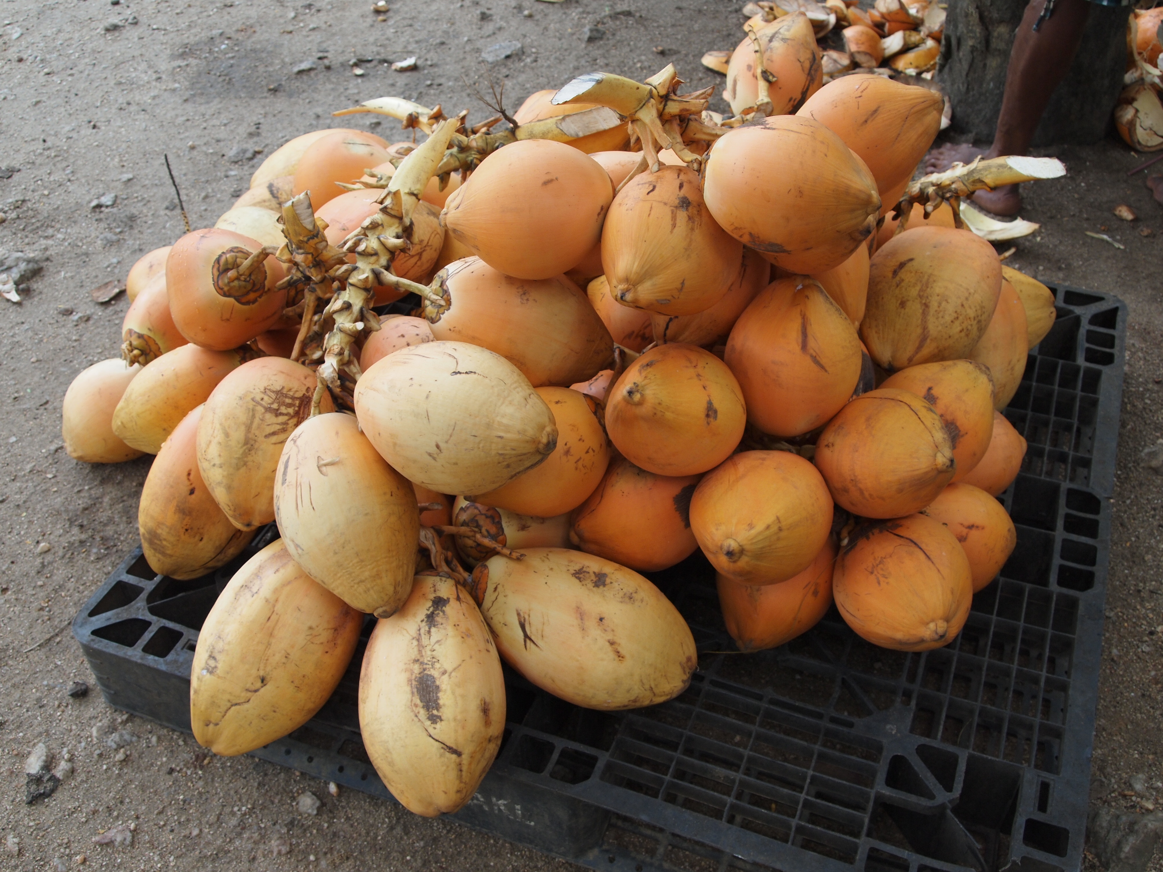 Fresh king coconut (thambili) at a roadside stall in Sri Lanka