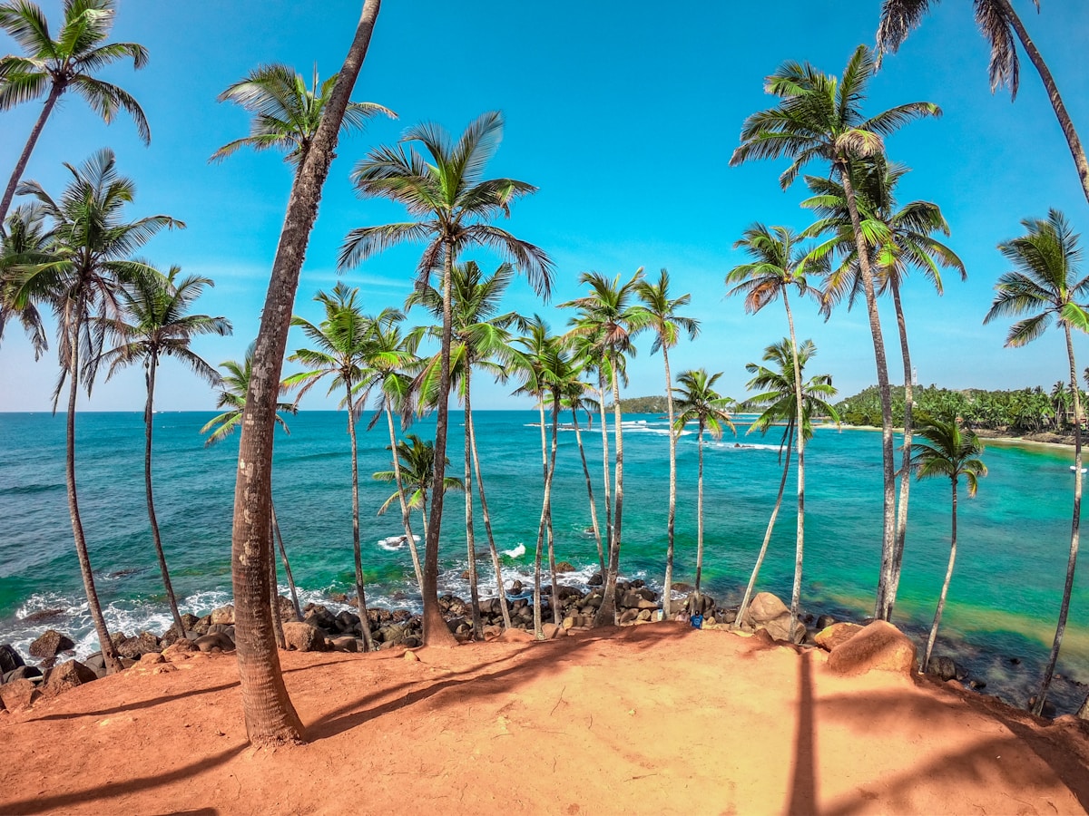 Iconic Coconut Tree Hill viewpoint overlooking Mirissa beach