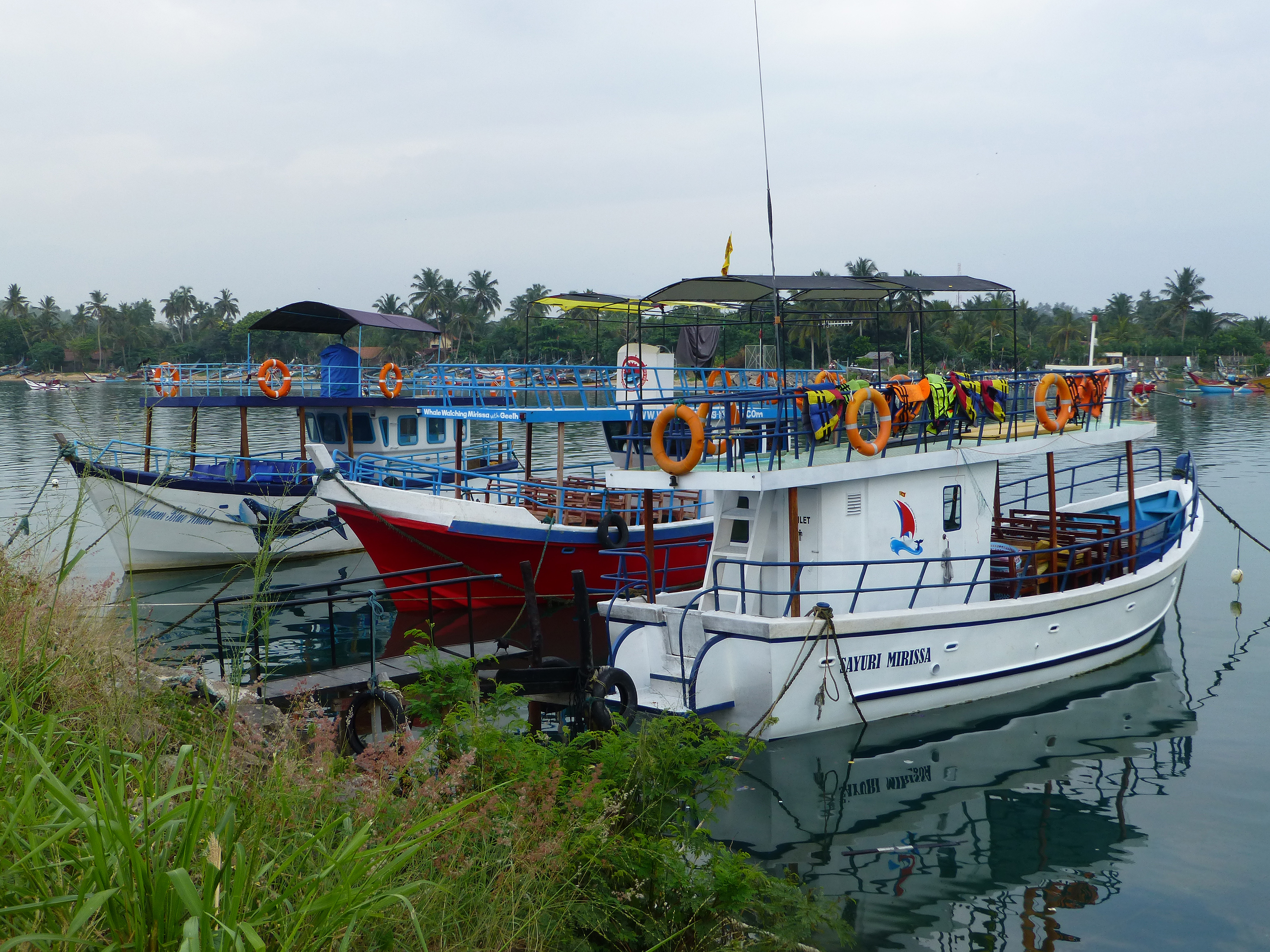 Whale watching boat in Mirissa with tourists scanning the horizon for blue whales