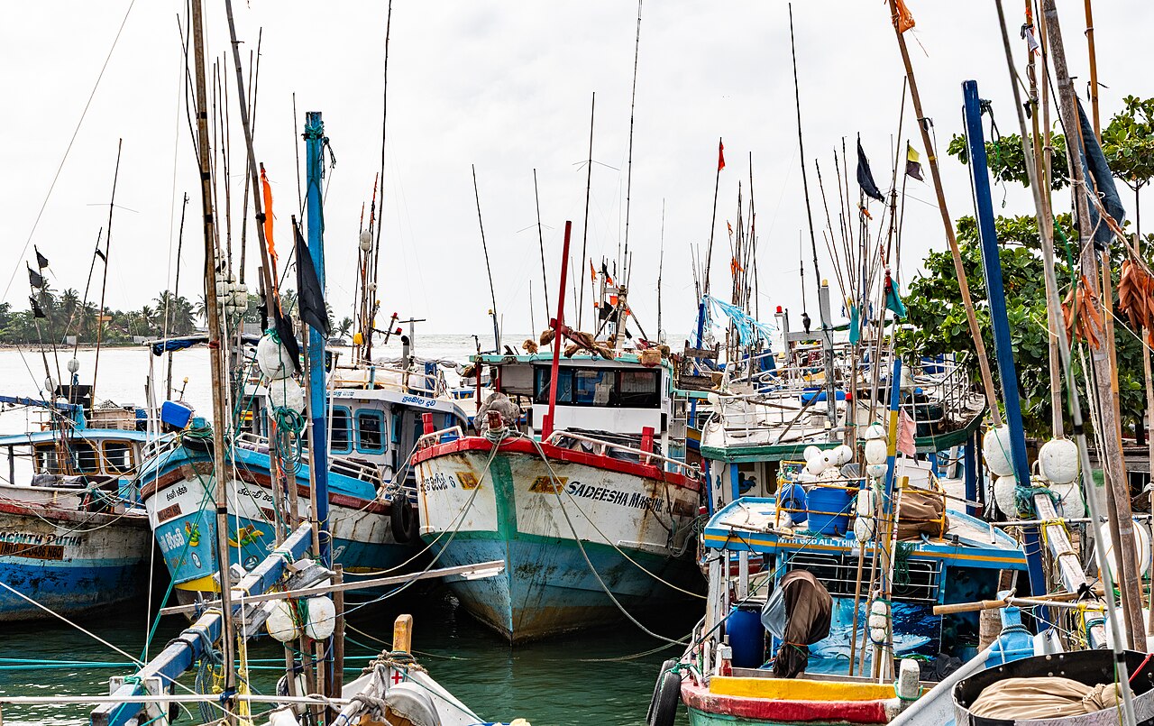 Wooden outrigger boats resting on the calm water of Negombo lagoon in daylight
