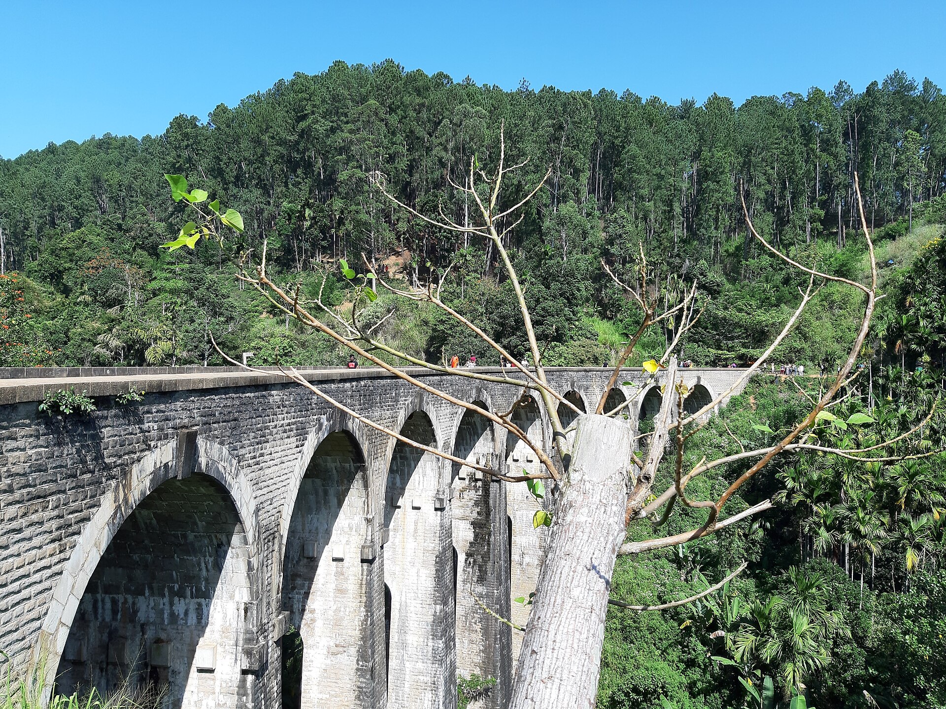 Train crossing the Nine Arch Bridge in Ella's hill country, the kind of slow travel moment a longer Sri Lanka visa unlocks