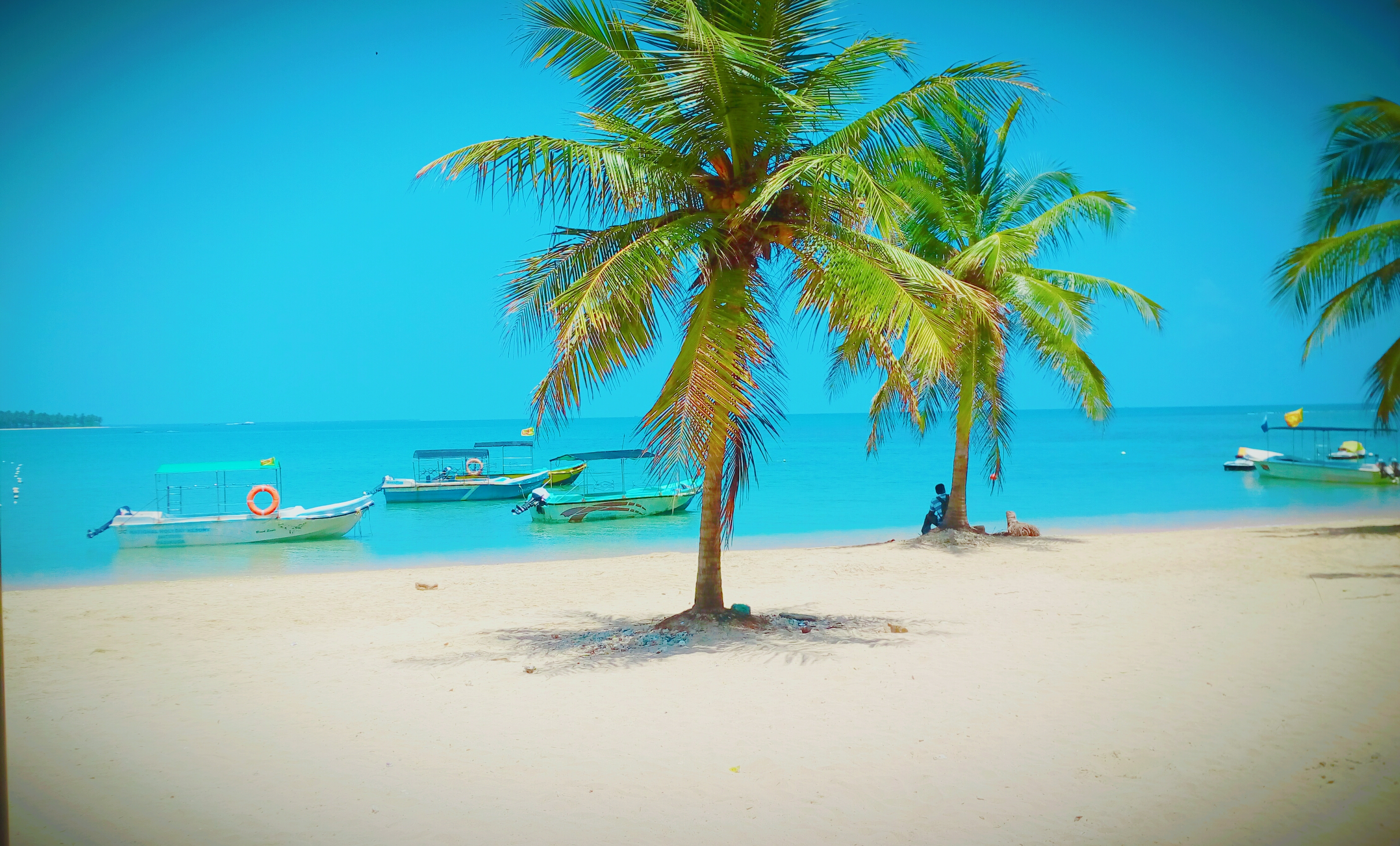 Palm-fringed sandy beach with turquoise waters at Passikudah Bay, east coast Sri Lanka