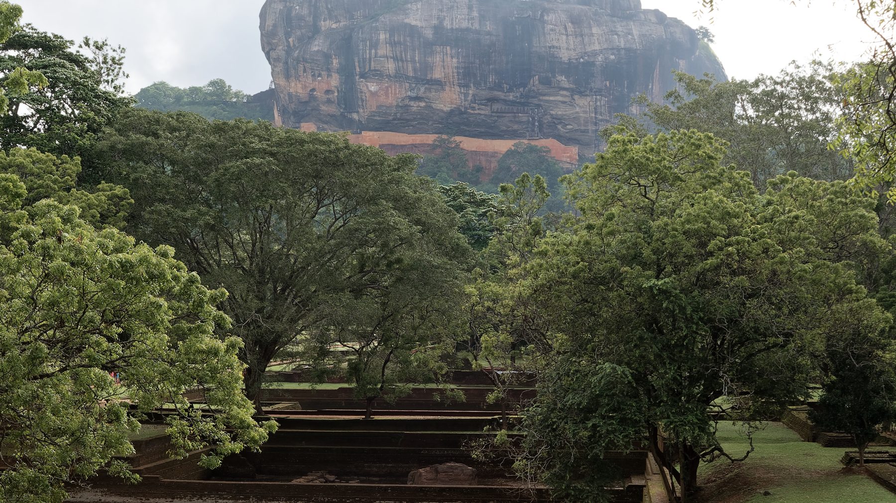 Sigiriya Rock rising above the dry-zone forest — the Cultural Triangle centrepiece of a comfortable late-November routing