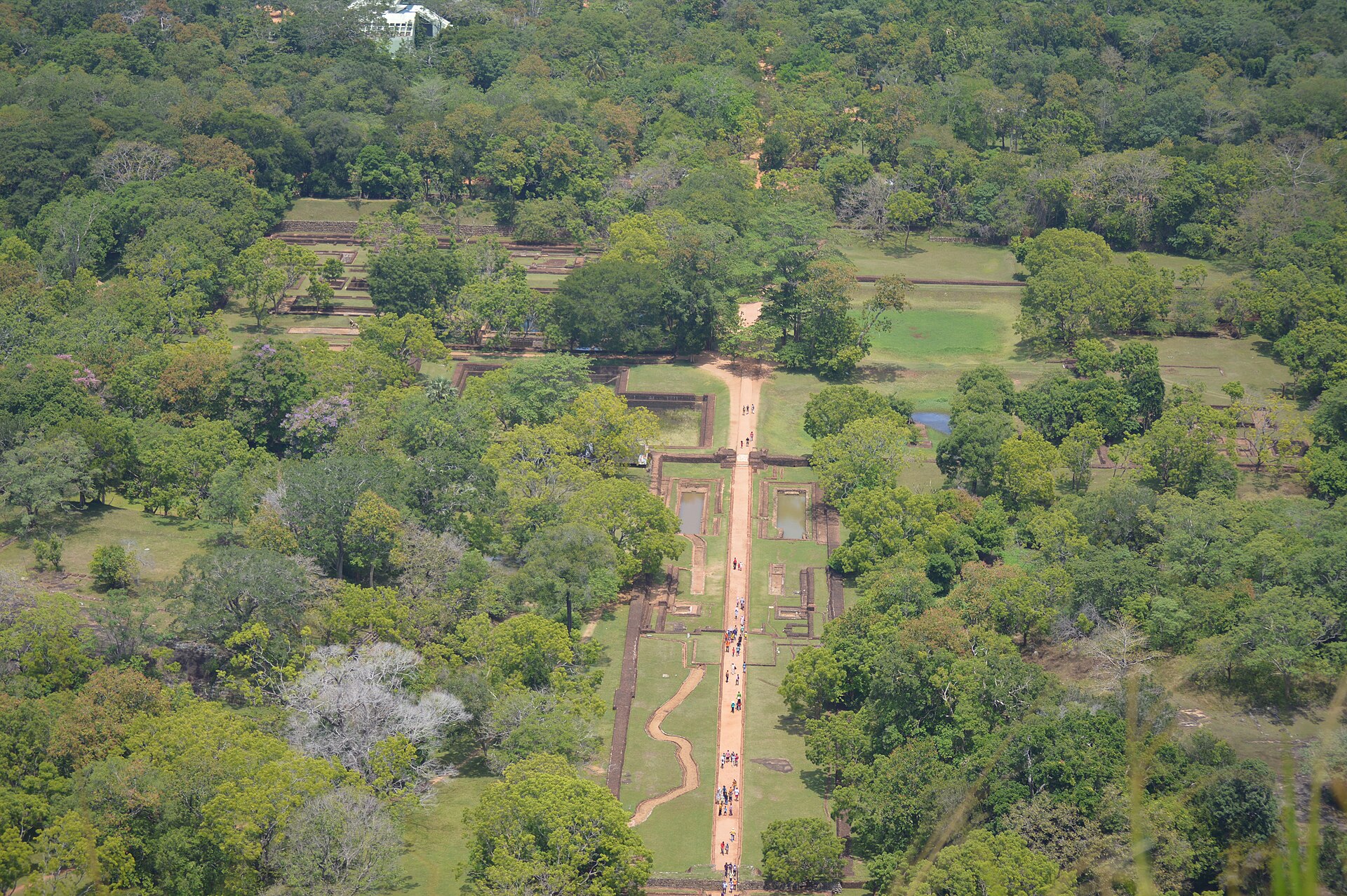 Sigiriya Rock Fortress rising above the jungle — the Cultural Triangle centrepiece of a solo one-week Sri Lanka loop
