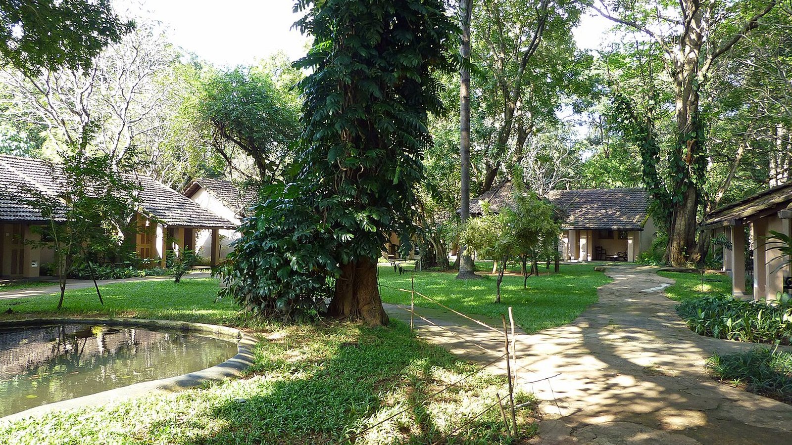 Where Is the Best Place to Stay in Sri Lanka? What 150,012 2026 Reviews Say