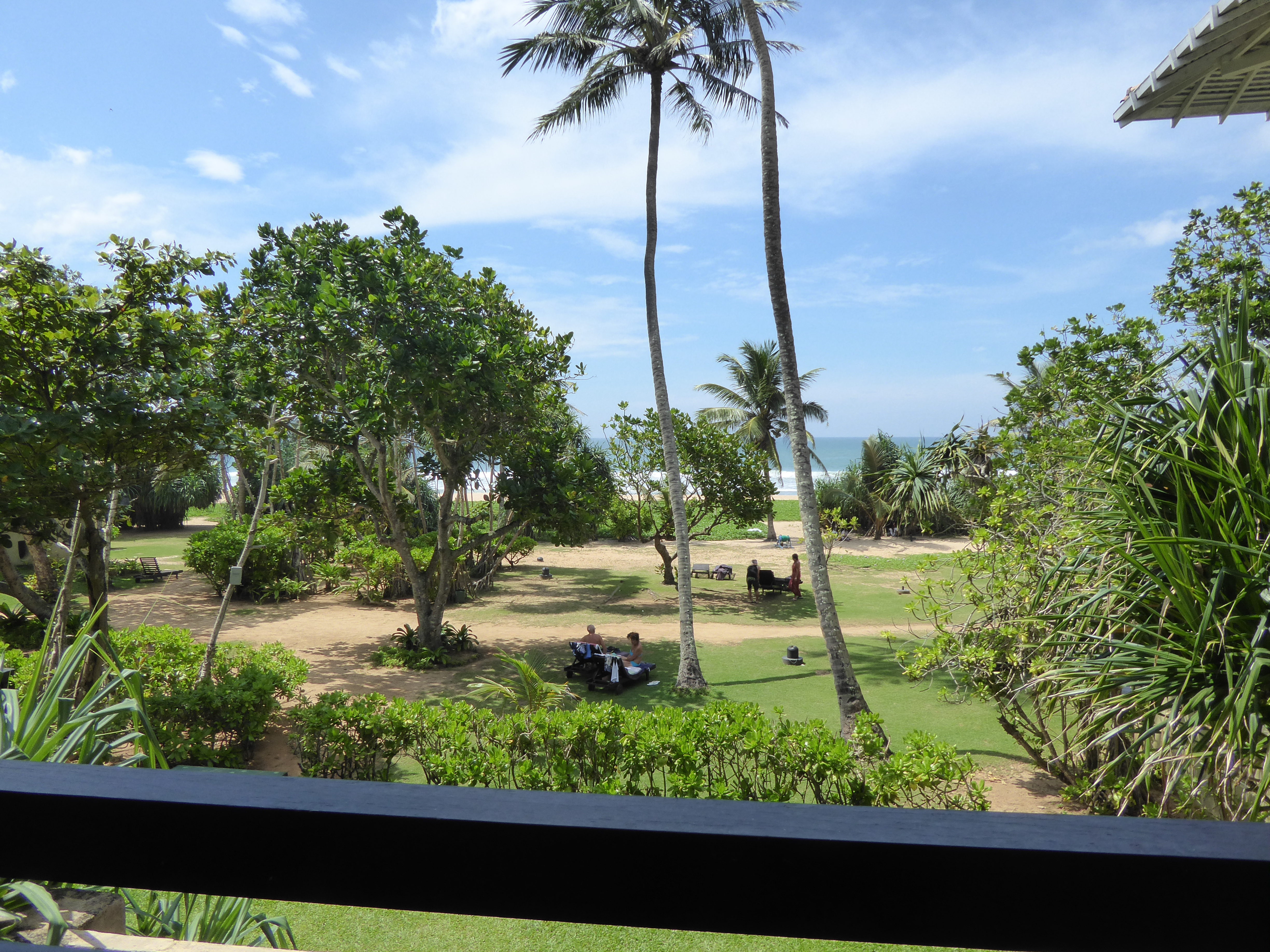 Tropical home-stay garden in Sri Lanka with a veranda