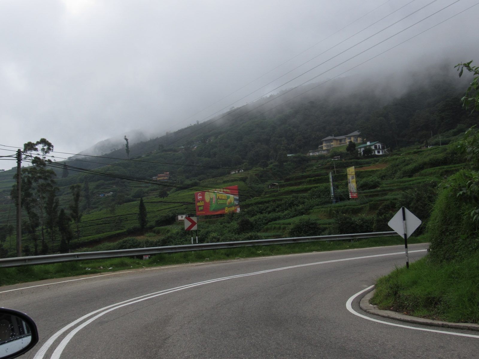 Tea plantations lining the road near Nuwara Eliya — the classic hill country drive