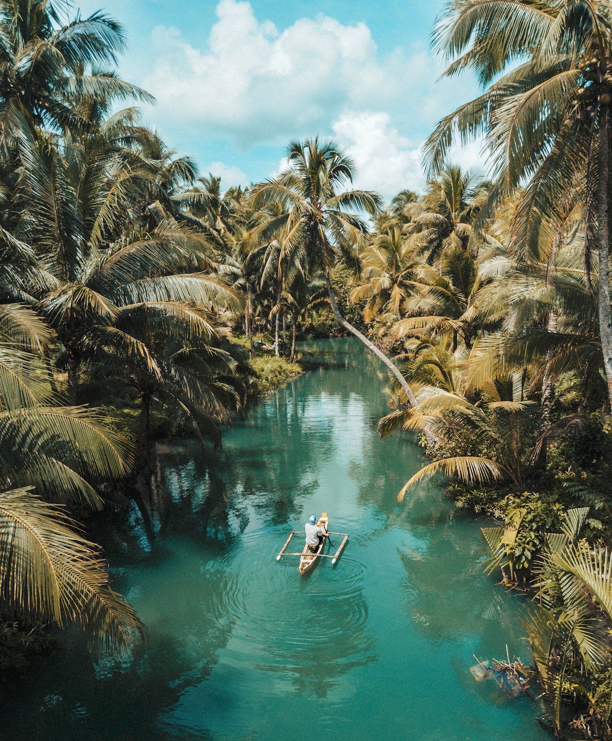 Traveller in a tropical destination looking at a view