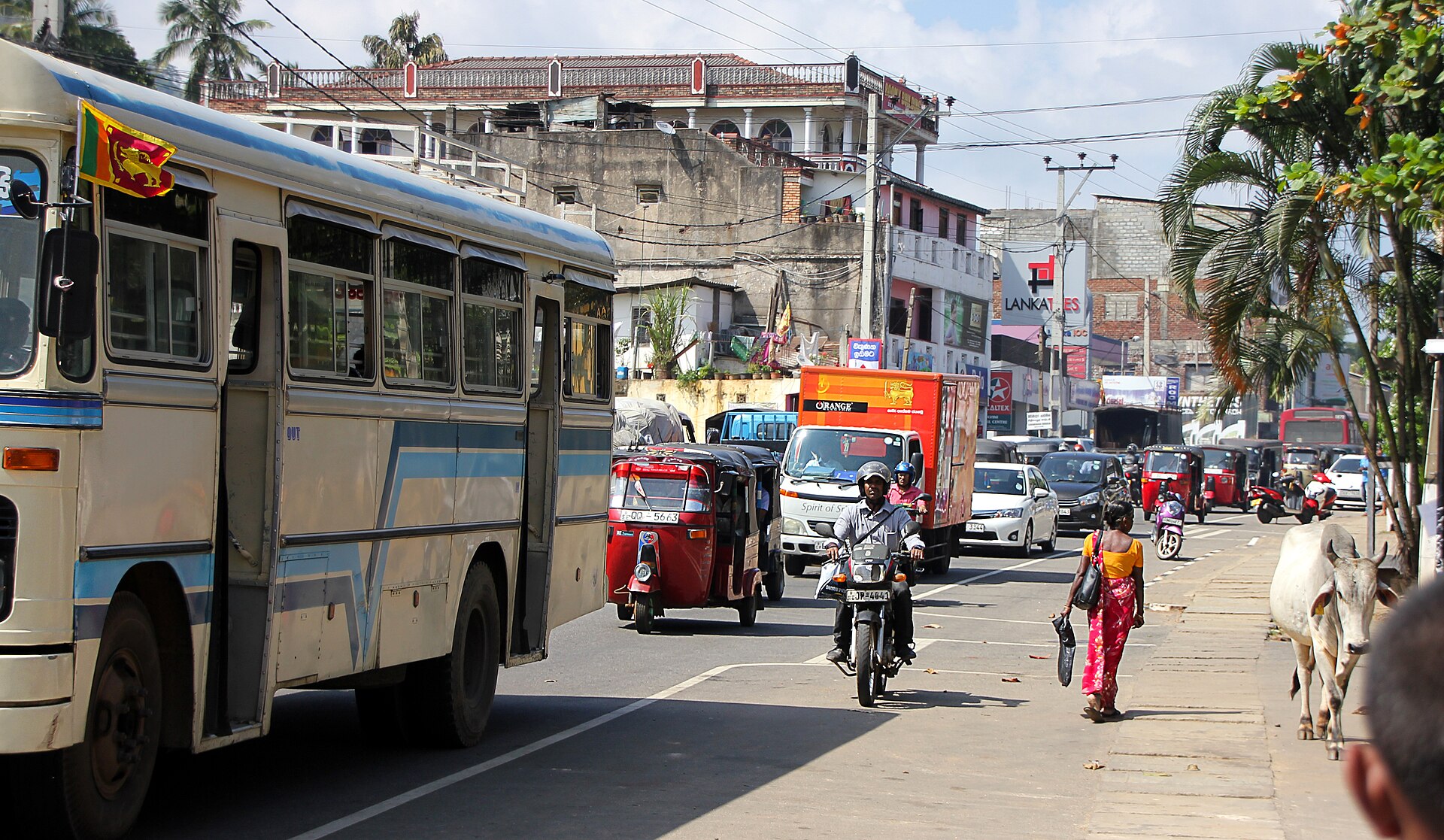 A road in Sri Lanka — how to book a trustworthy private driver, verified with the SLTDA tourist-driver identity and a fair all-inclusive daily rate