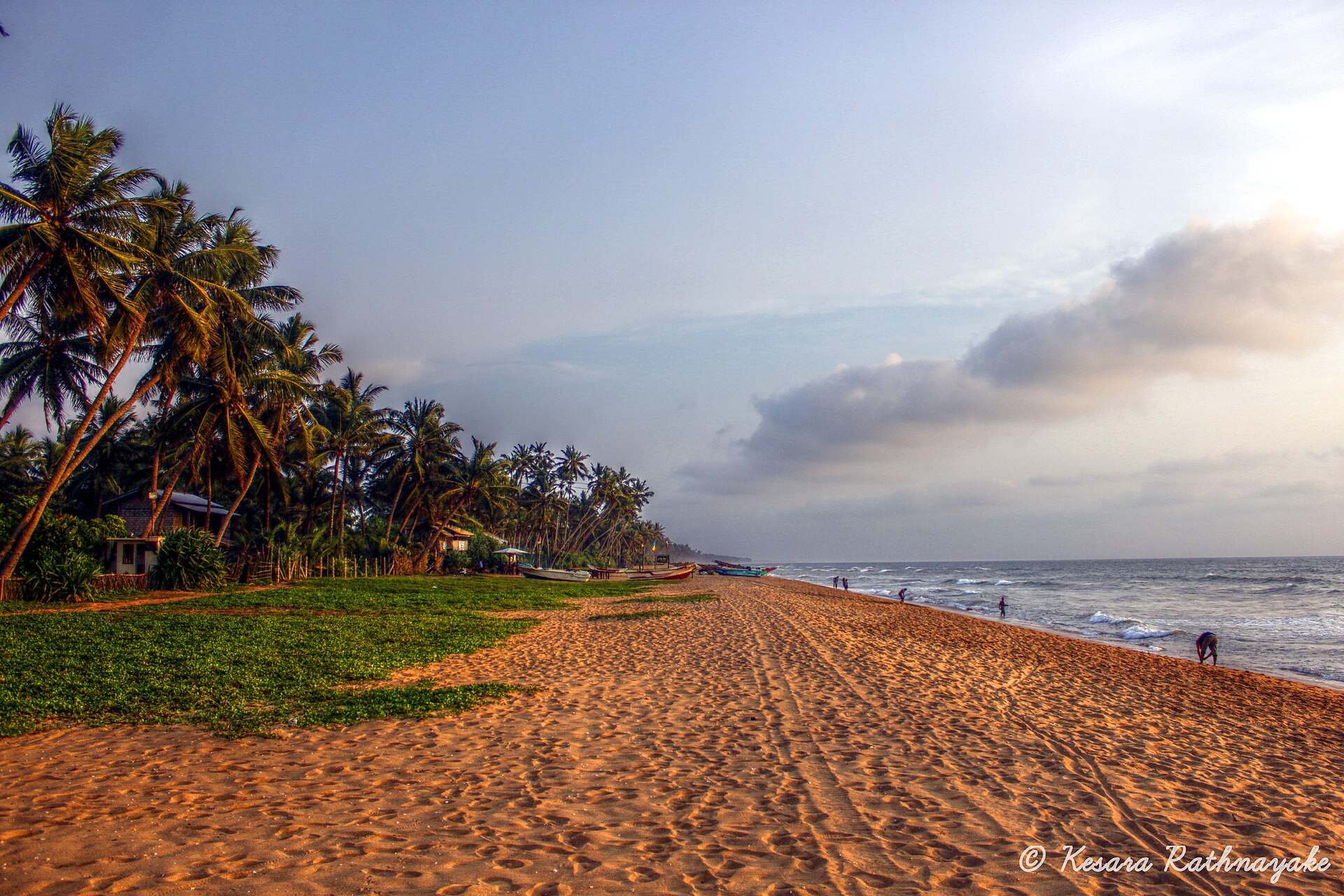 The beach at Wadduwa on Sri Lanka’s west coast, with coconut palms and the coastal railway line behind it