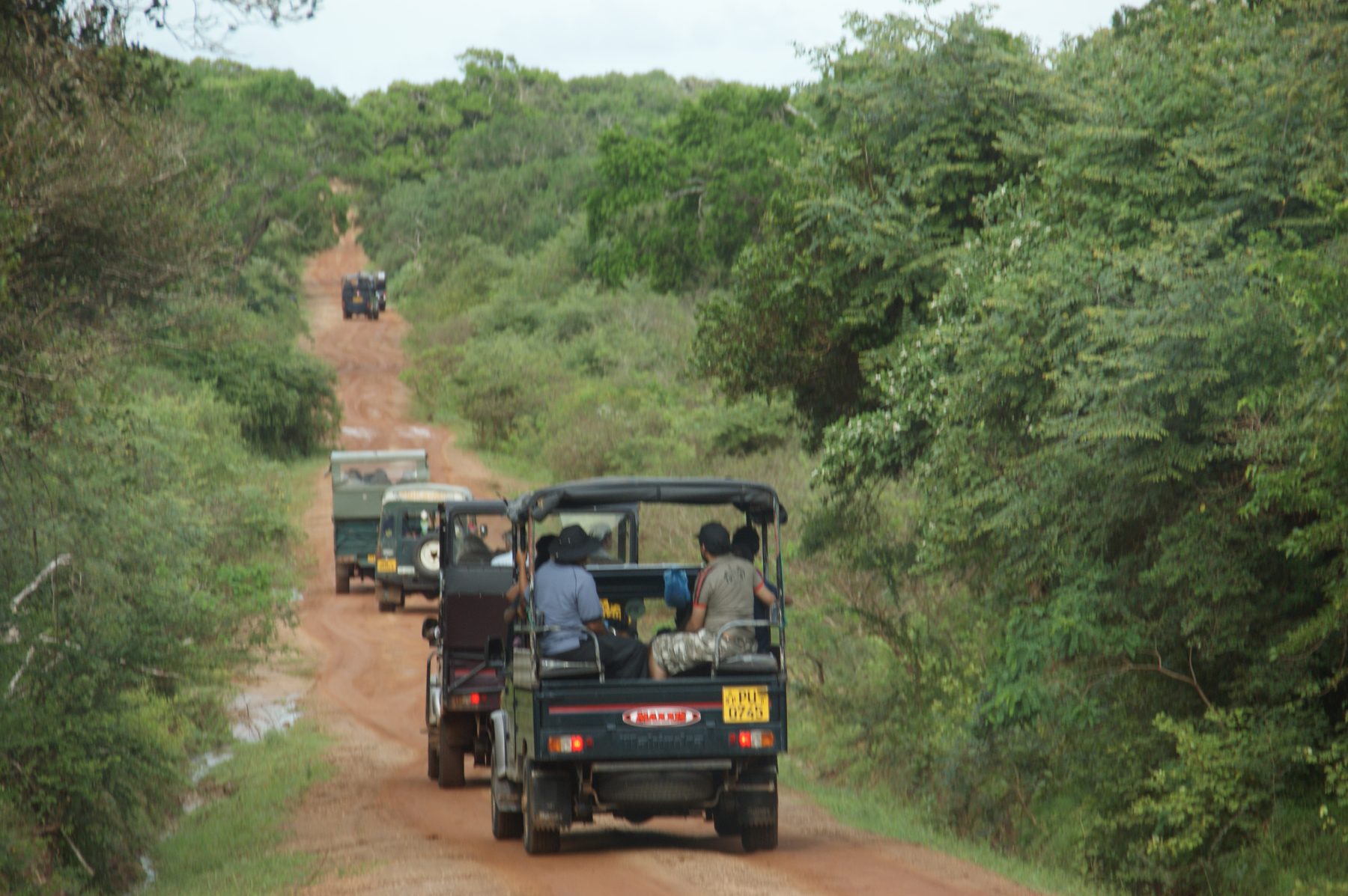 A jeep safari threading through Yala country &mdash; the open blocks keep running drives through the October window